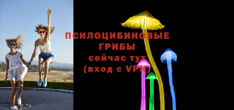 Галлюциногенные грибы Psilocybine cubensis  Каменск-Уральский 